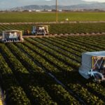 Western Growers Global Harvest Automation Initiative