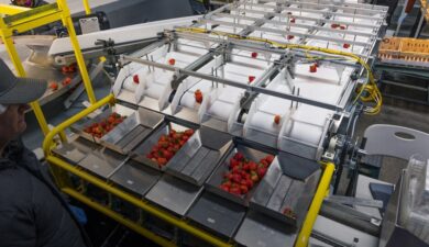 Automated Packline
