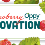 Innovative Strawberry Technologies
