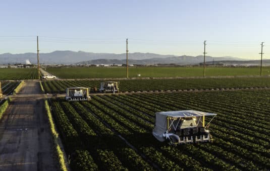 advanced.farm robotic strawberry harvesters