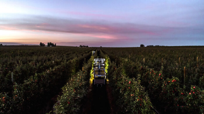 an advanced.farm robotic apple harvester navigates a vertical trellis orchard in Quincy, WA