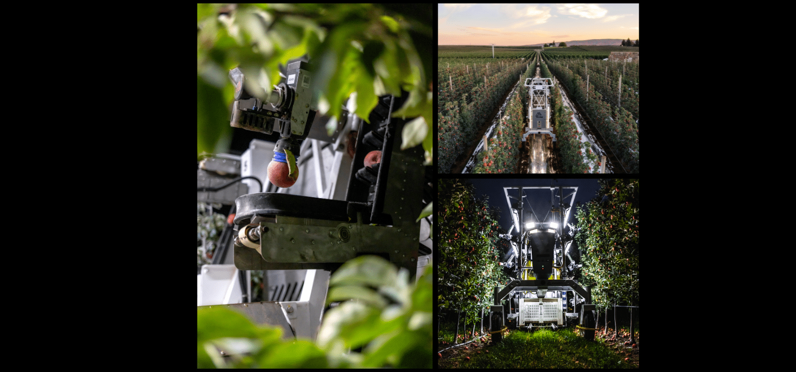 Apple Harvester